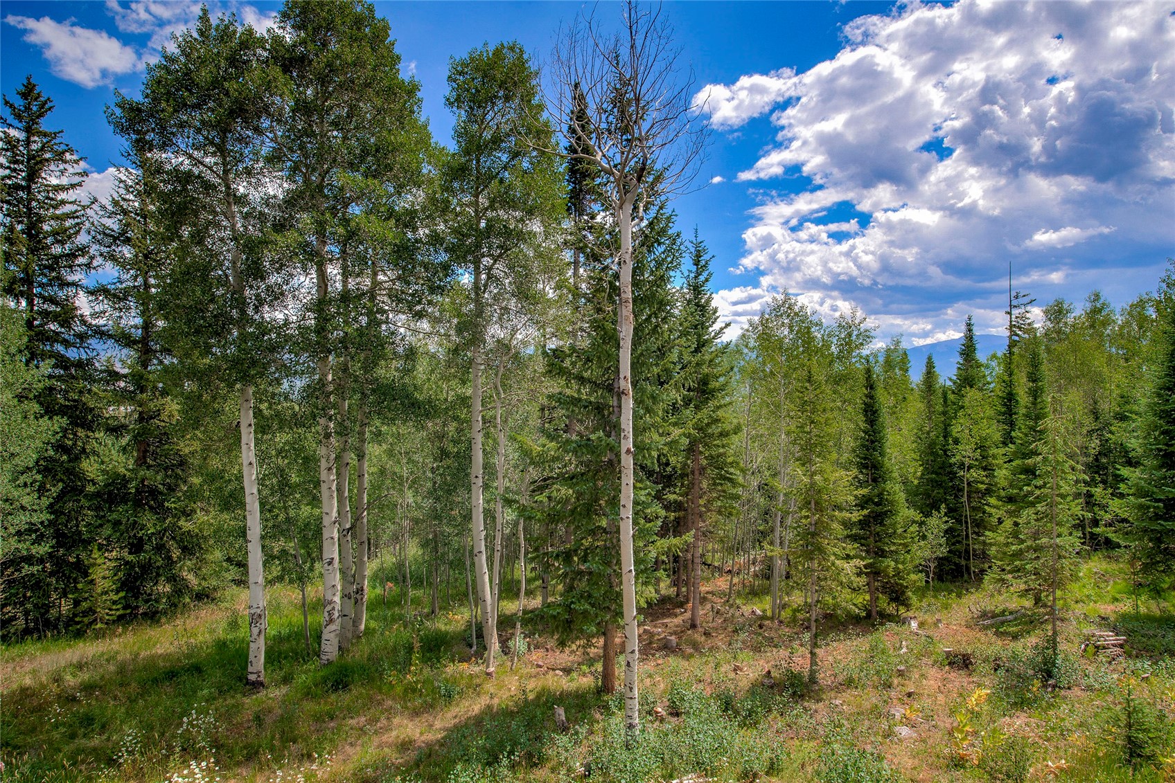 61 Bashore Court Silverthorne CO 80498