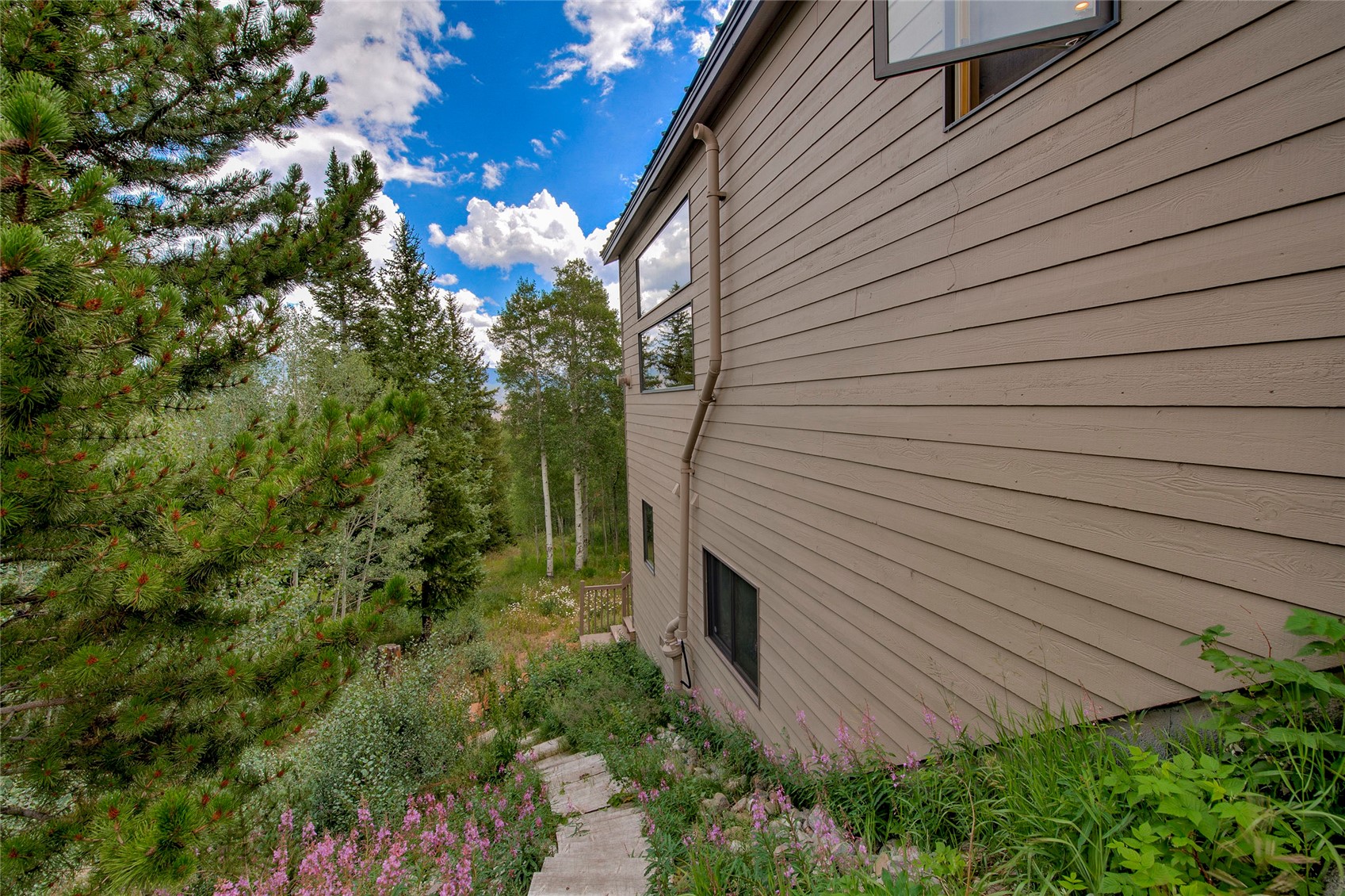 61 Bashore Court Silverthorne CO 80498