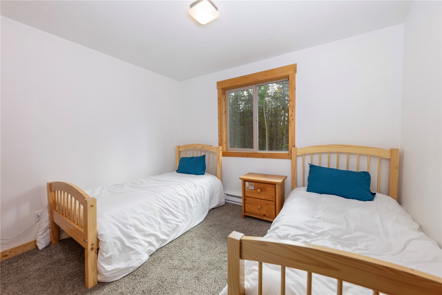 1034 Venture Road Fairplay CO 80440