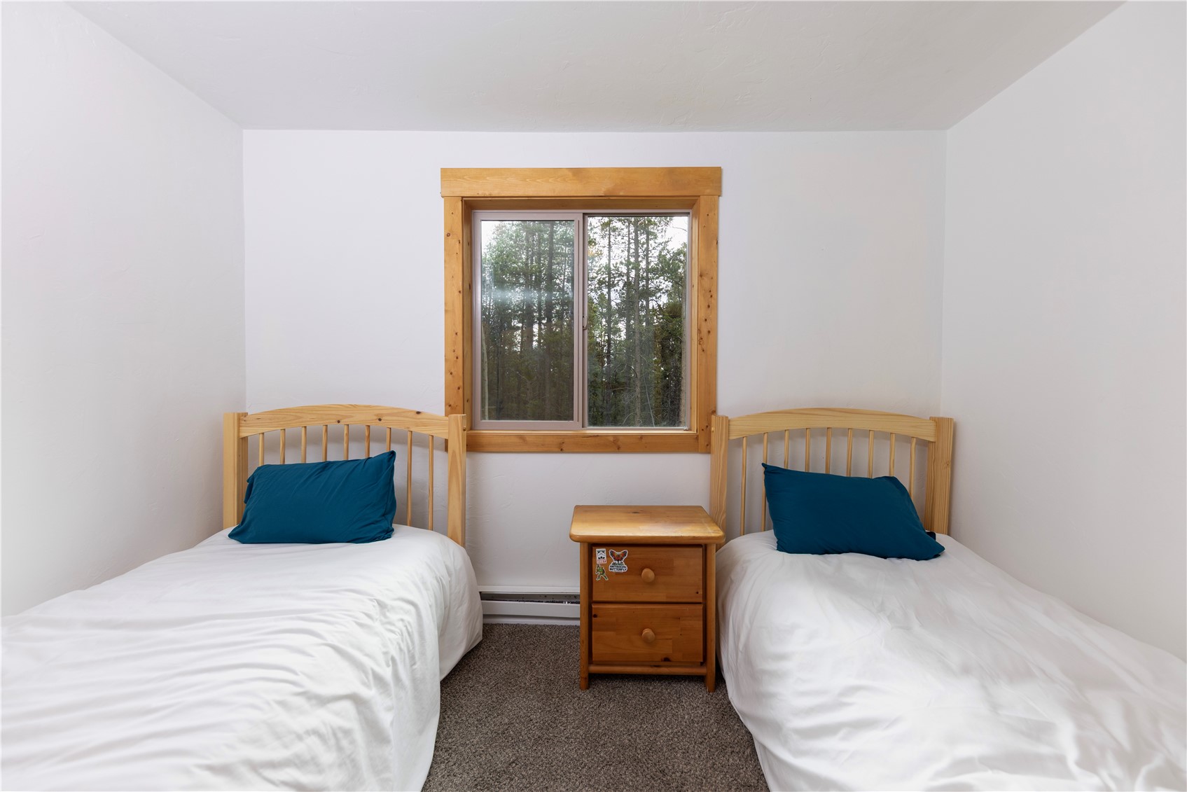 1034 Venture Road Fairplay CO 80440