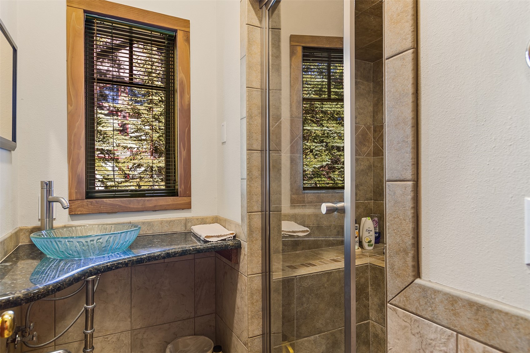 100 Windwood Circle Breckenridge CO 80424