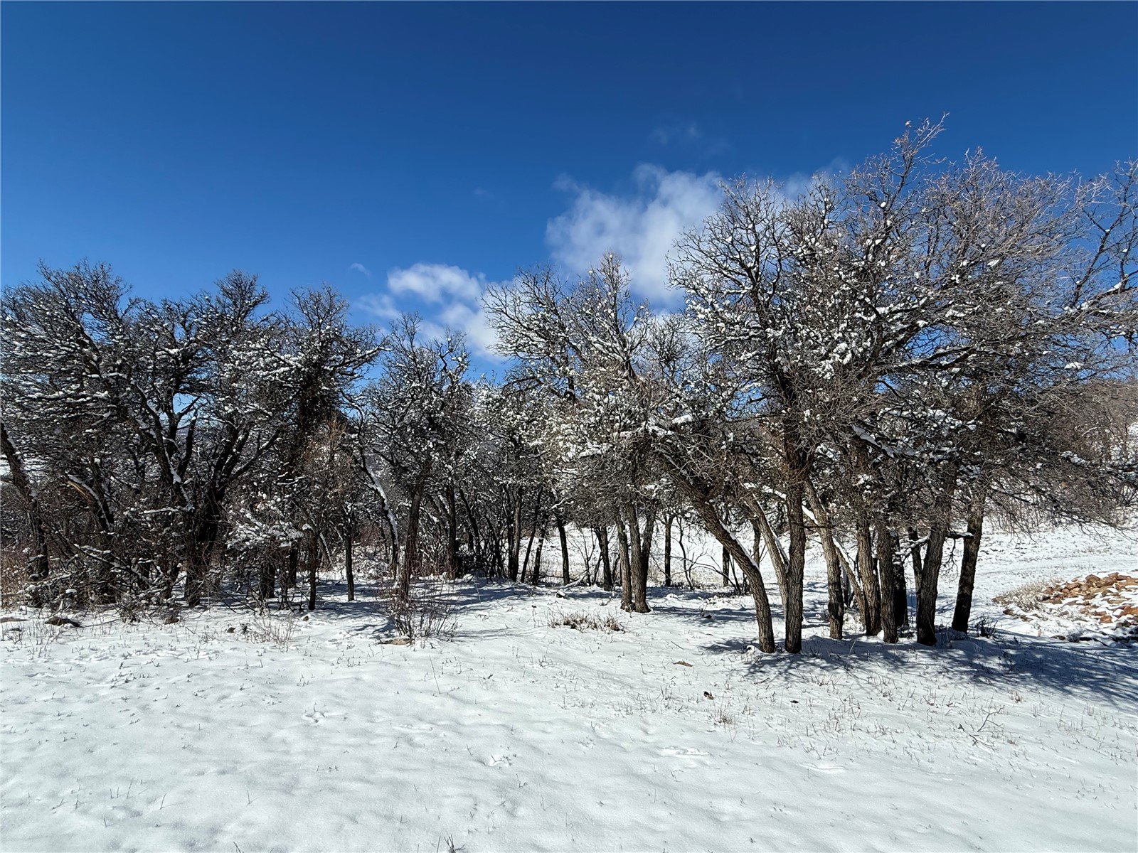 27400 Grouse Court Steamboat Springs CO 80487