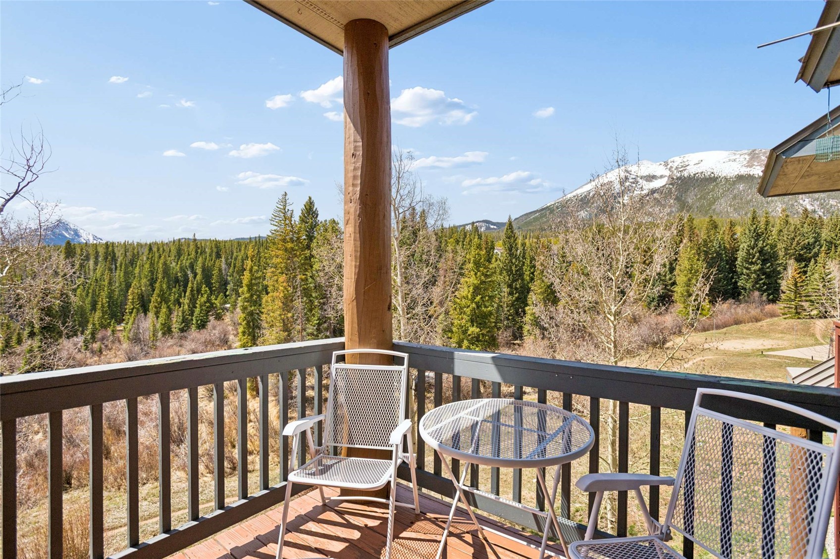 121 Cydney Lane Silverthorne CO 80498