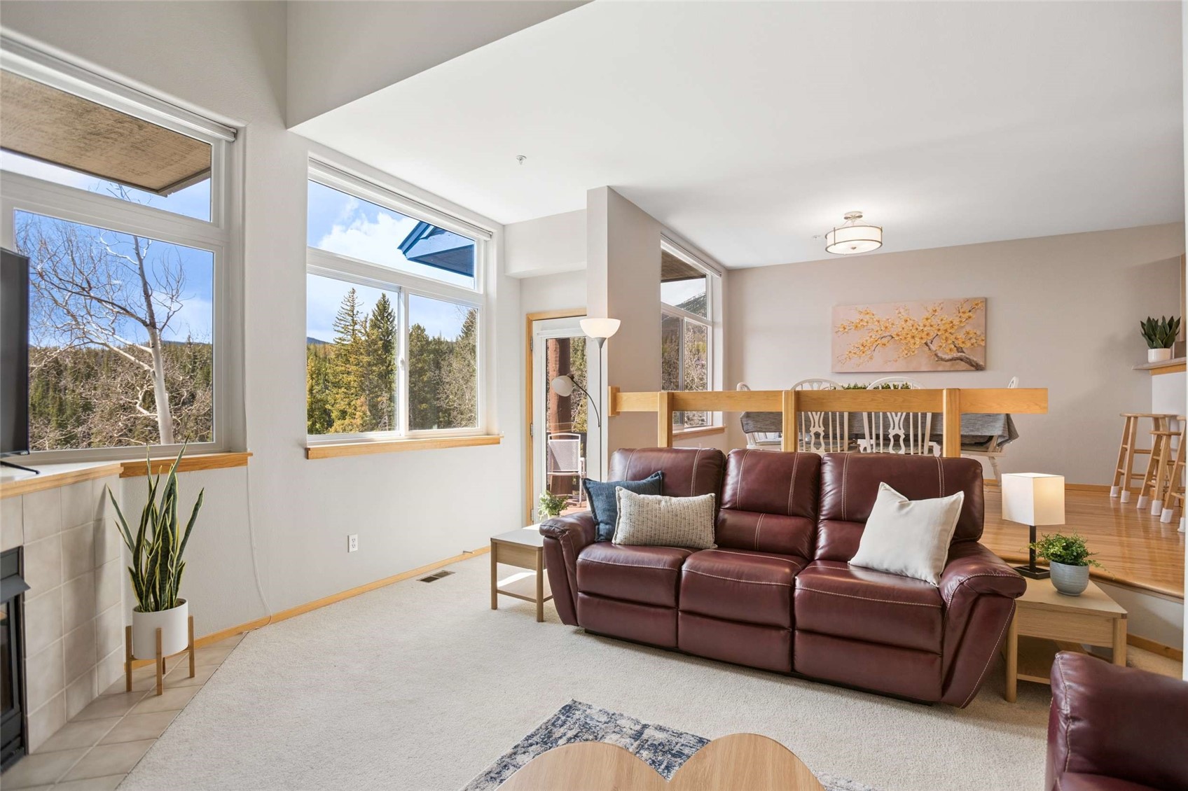 121 Cydney Lane Silverthorne CO 80498