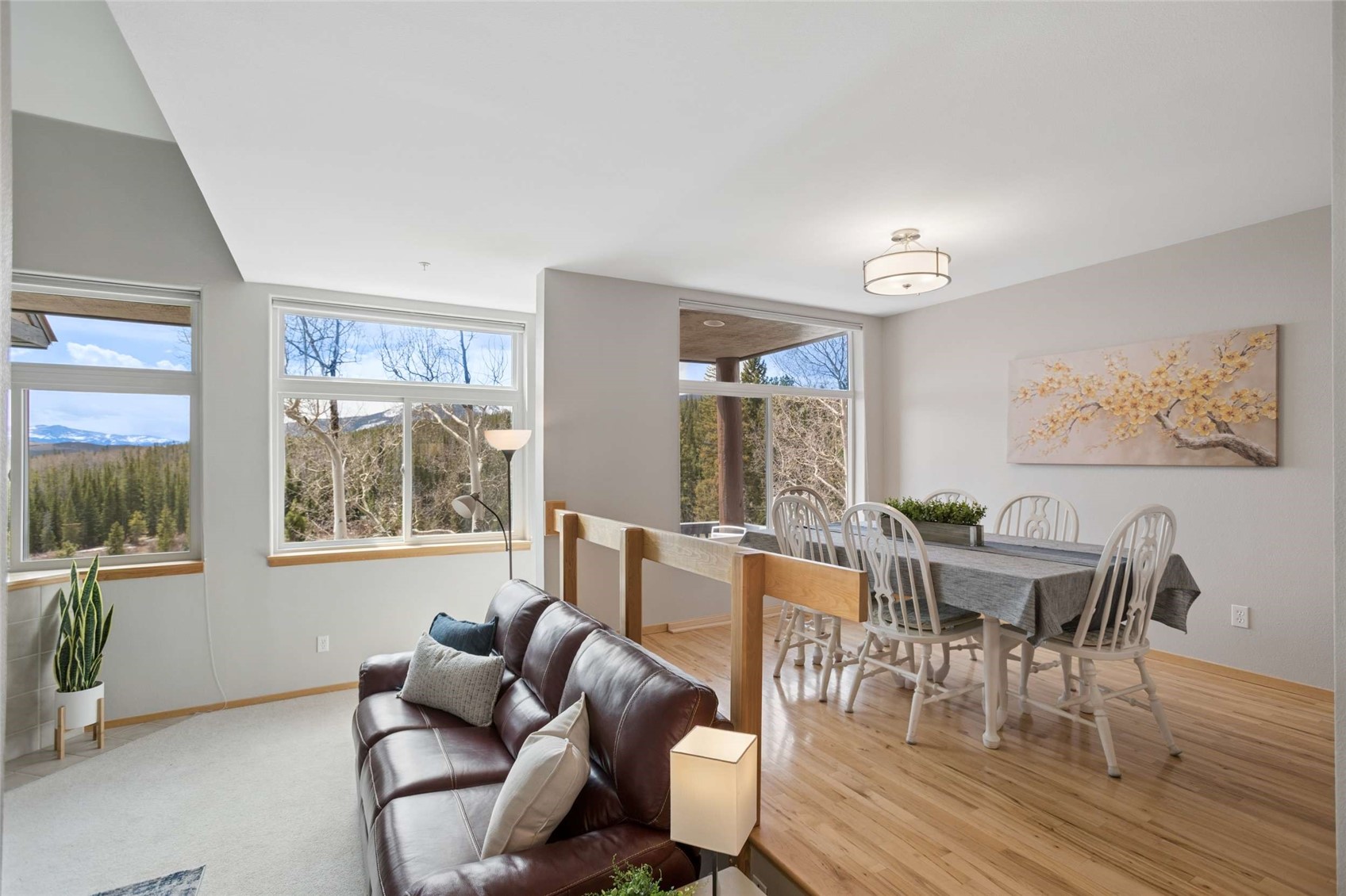 121 Cydney Lane Silverthorne CO 80498