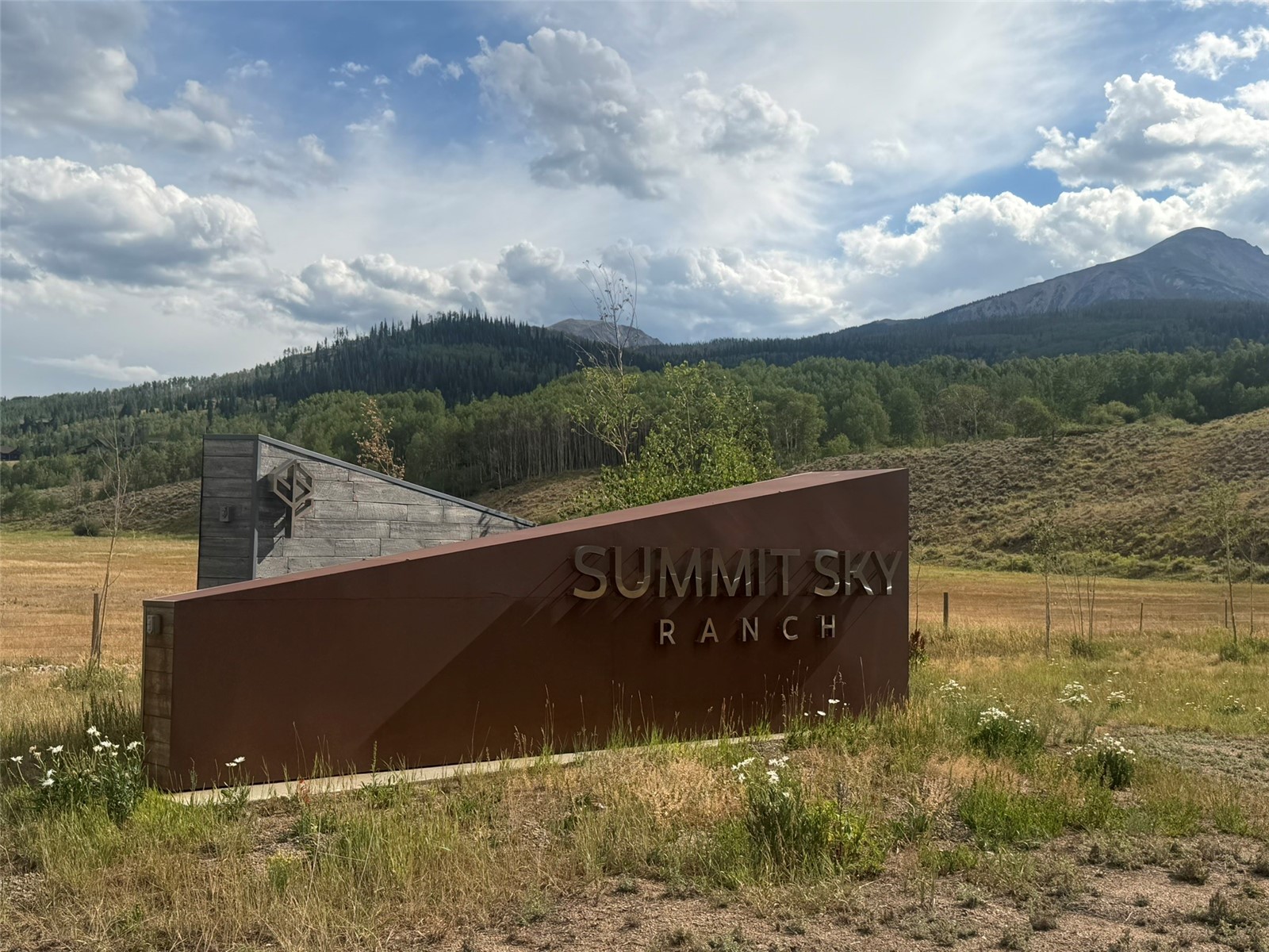 116 Youngs Preserve Road Silverthorne CO 80498