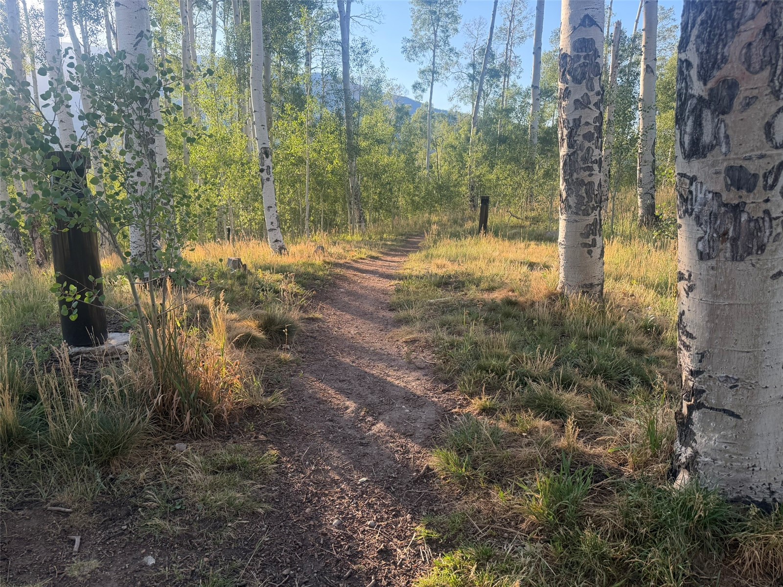 116 Youngs Preserve Road Silverthorne CO 80498