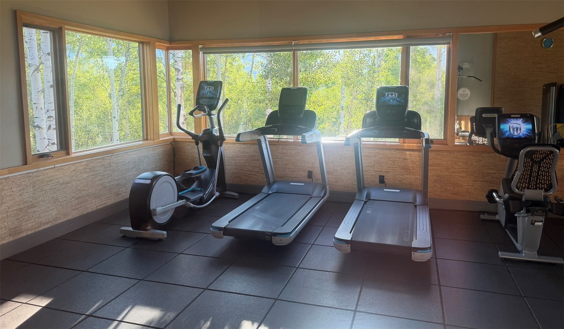 116 Youngs Preserve Road Silverthorne CO 80498