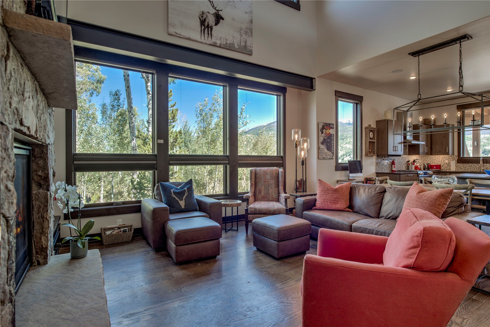 116 Youngs Preserve Road Silverthorne CO 80498