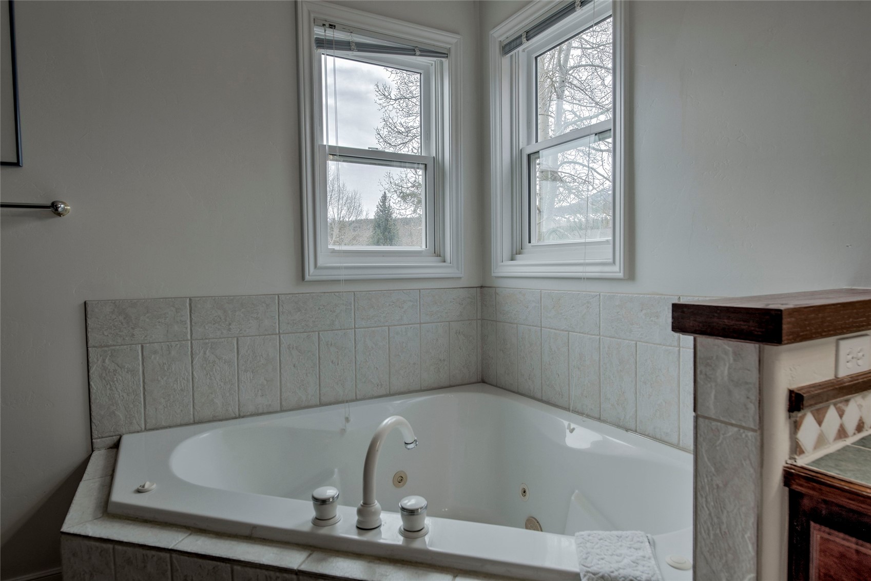 209 E Fox Court Silverthorne CO 80498