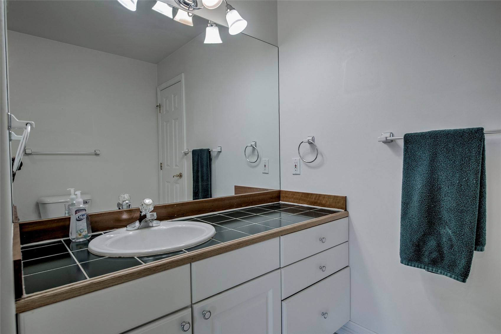 209 E Fox Court Silverthorne CO 80498