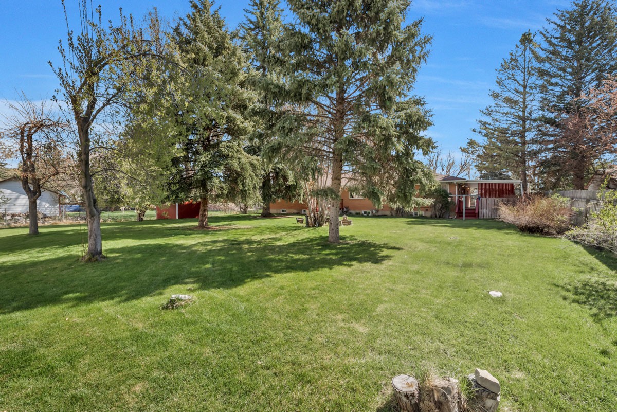 590 Steele Street Craig CO 81625