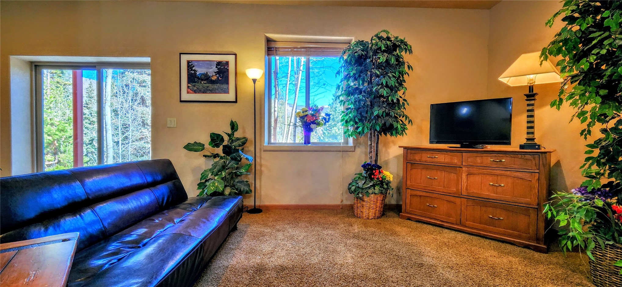 562 Piney Acres Circle Dillon CO 80435