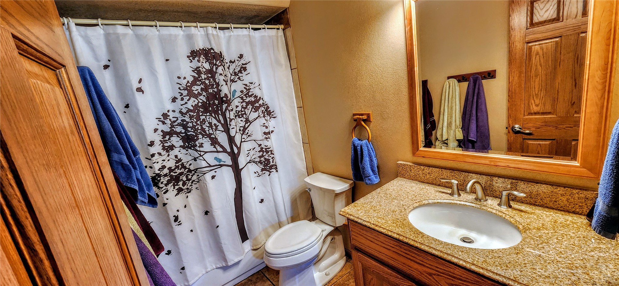 562 Piney Acres Circle Dillon CO 80435