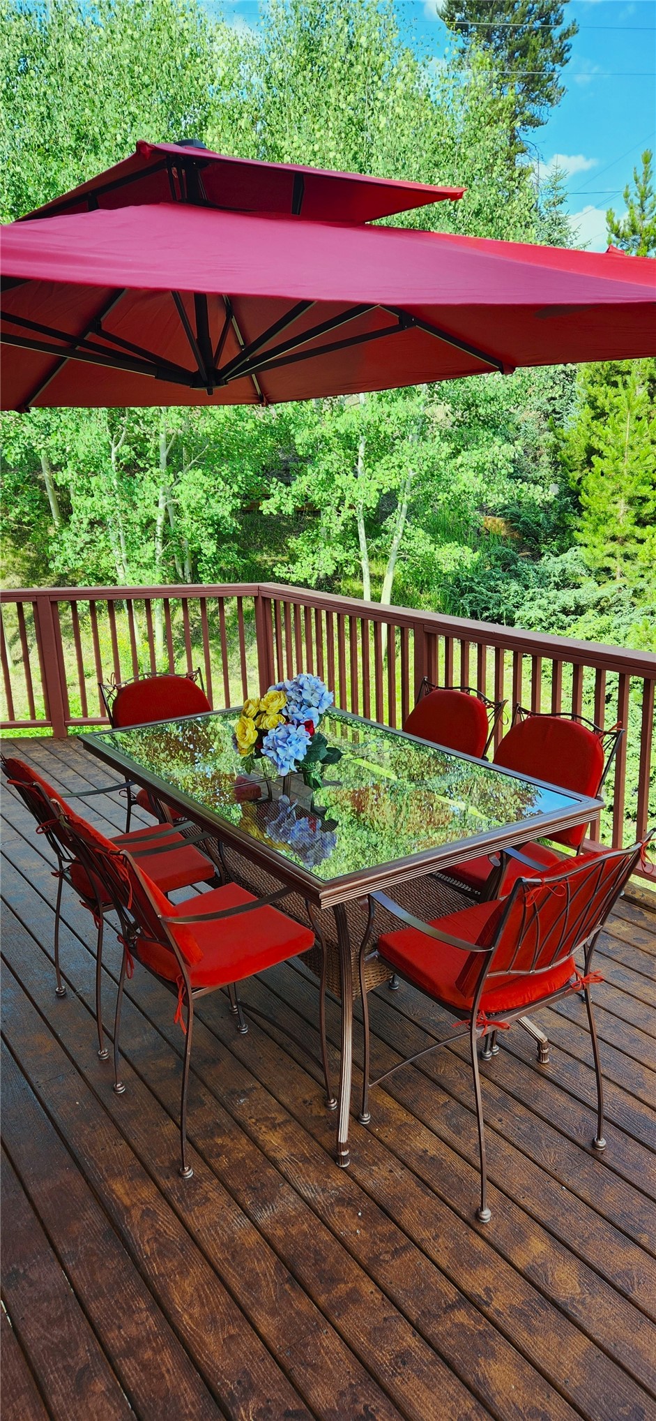 562 Piney Acres Circle Dillon CO 80435