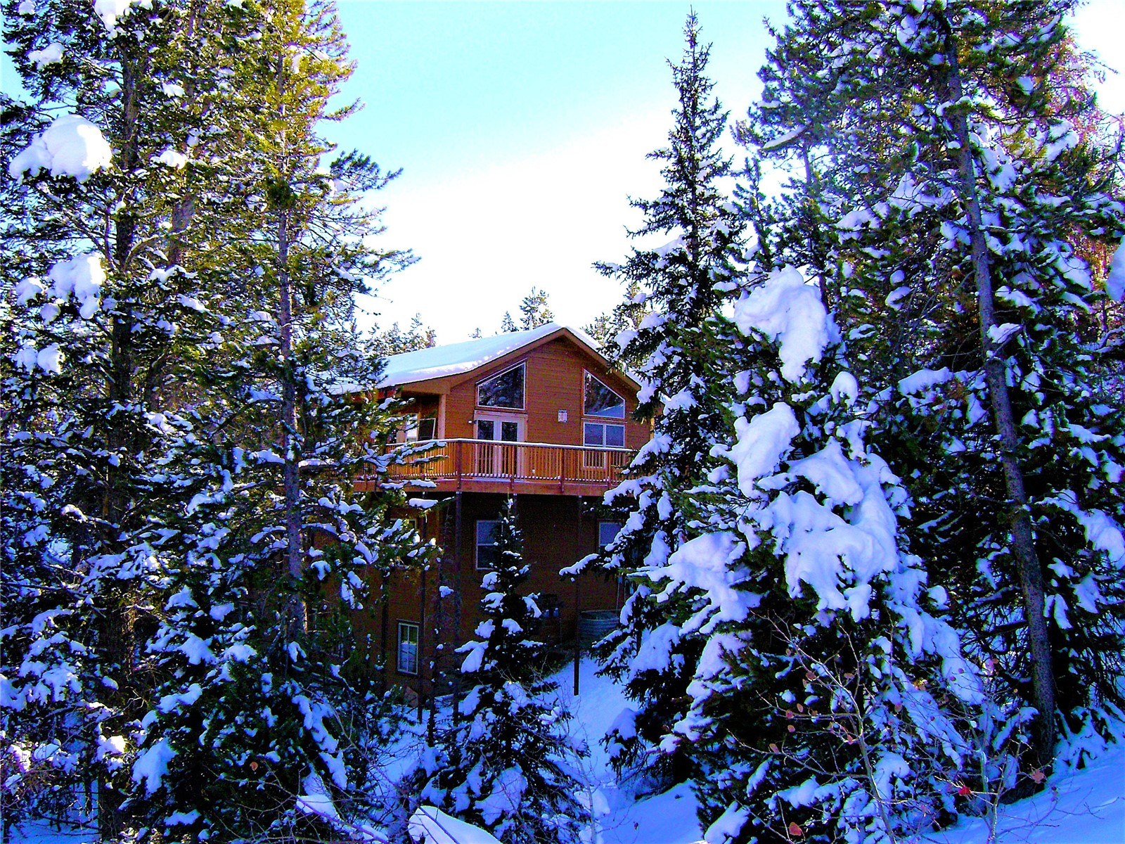 562 Piney Acres Circle Dillon CO 80435
