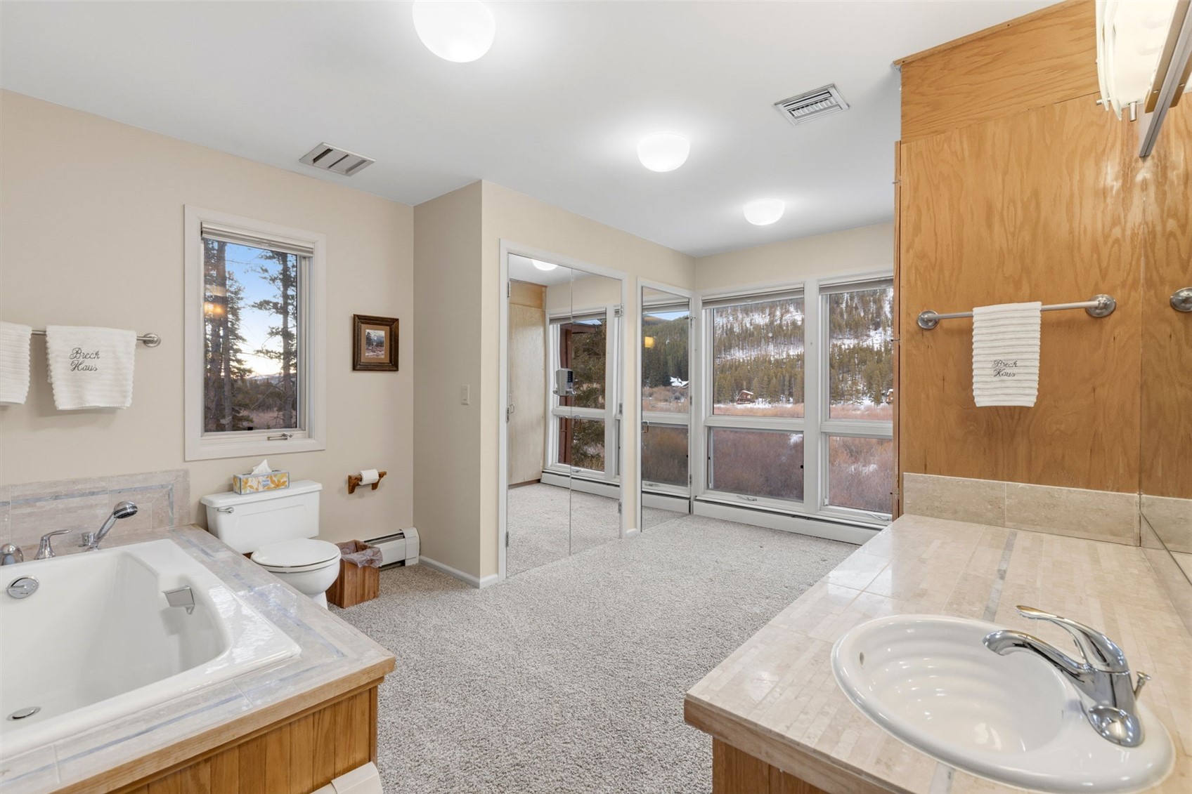 6620 Highway 9 Breckenridge CO 80424