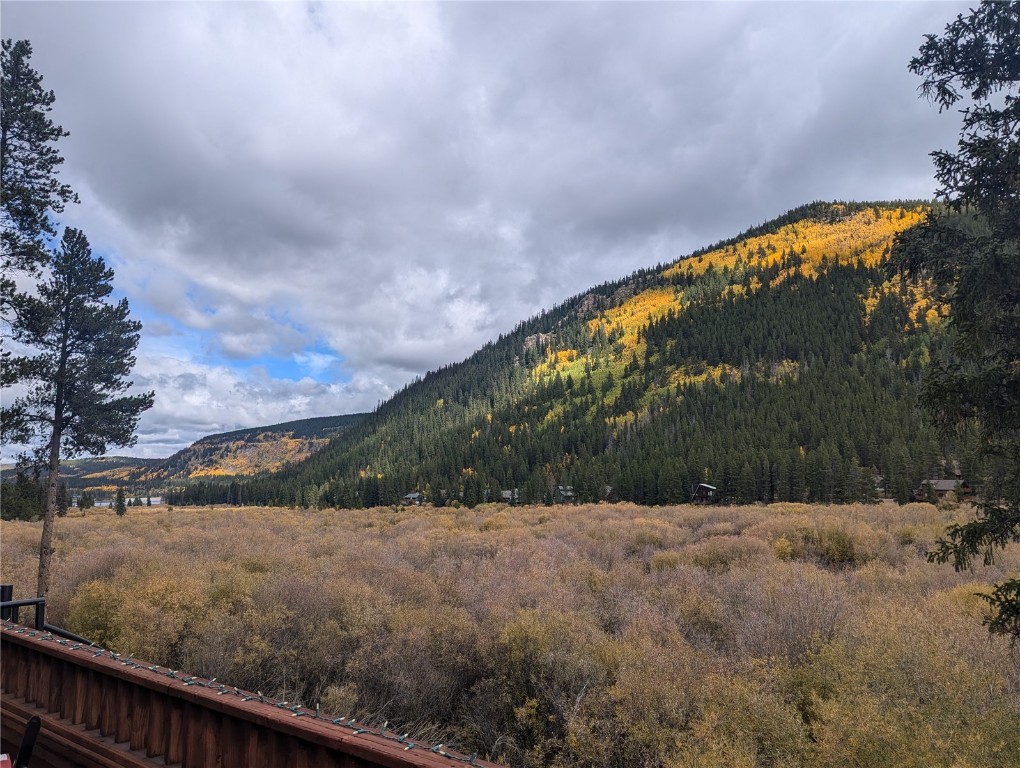 6620 Highway 9 Breckenridge CO 80424