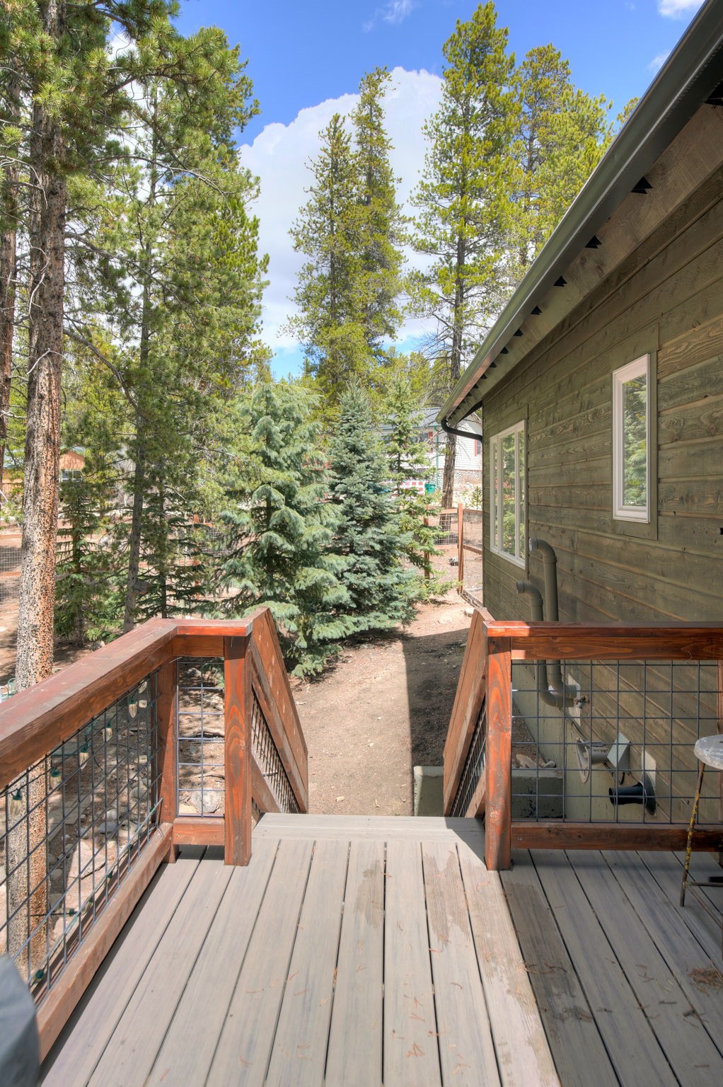 148 Imogene Circle Leadville CO 80461