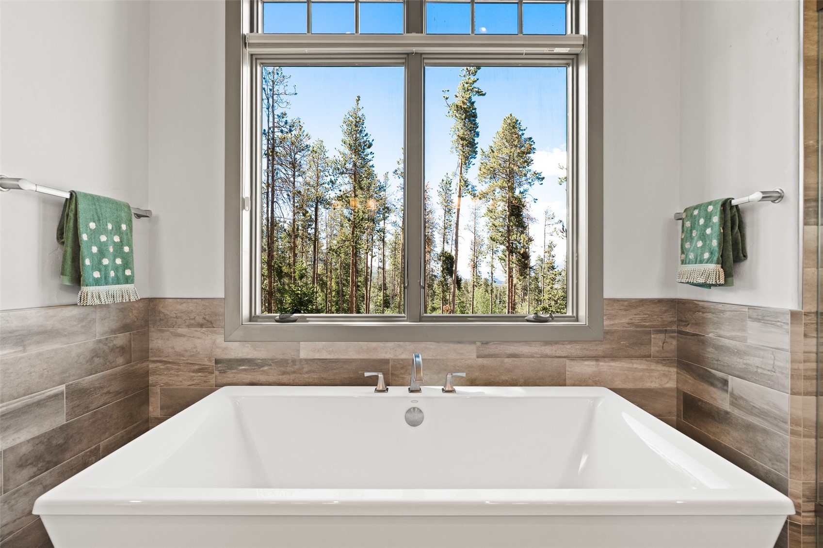 123 Westerman Road Breckenridge CO 80424
