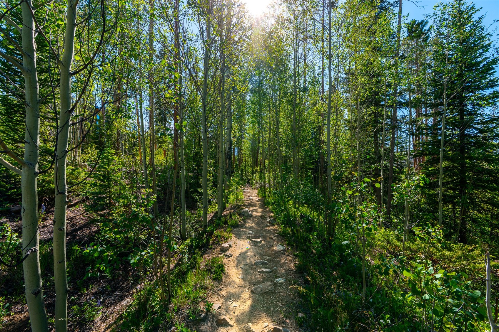 123 Westerman Road Breckenridge CO 80424