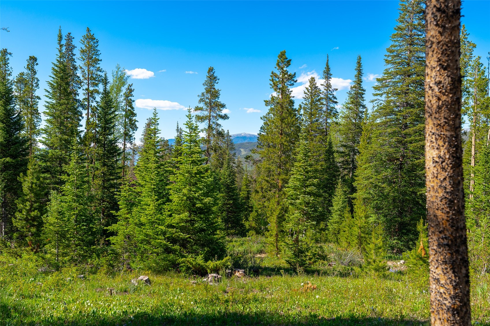 123 Westerman Road Breckenridge CO 80424