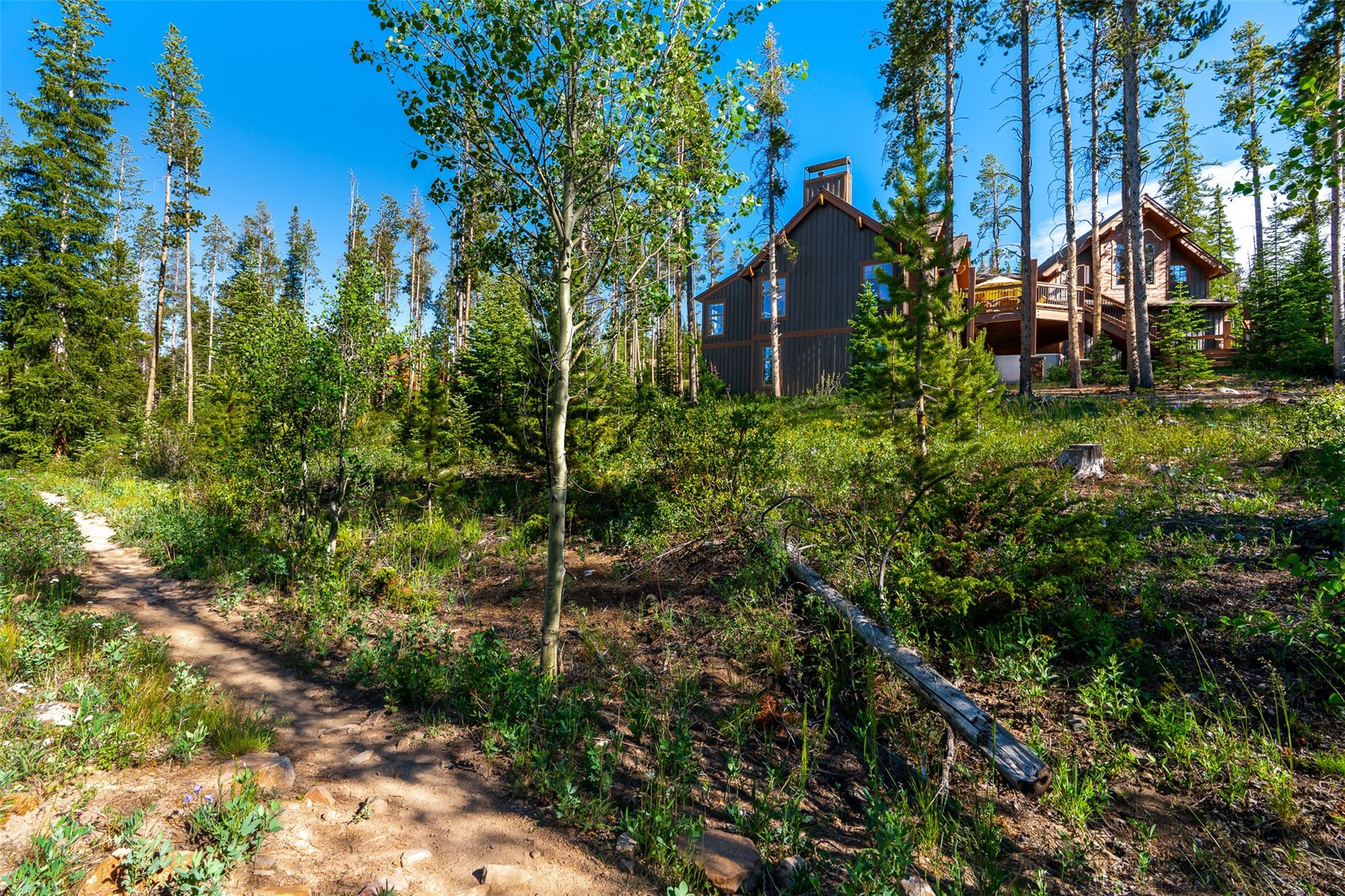 123 Westerman Road Breckenridge CO 80424