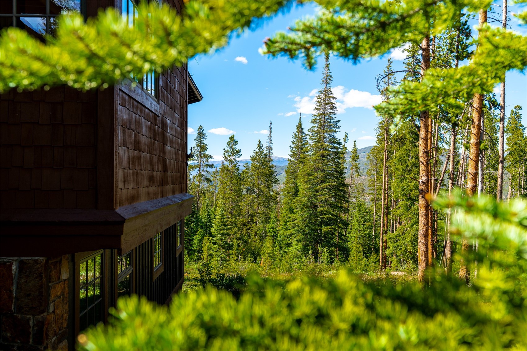 123 Westerman Road Breckenridge CO 80424