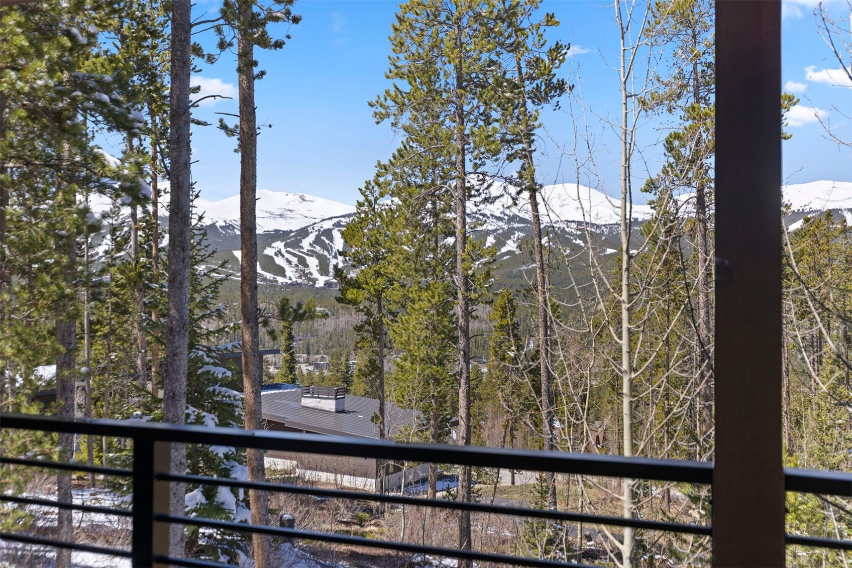 103 Bearing Tree Road Breckenridge CO 80424