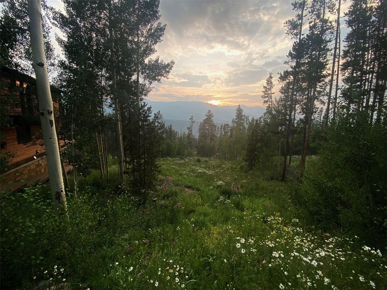 103 Bearing Tree Road Breckenridge CO 80424