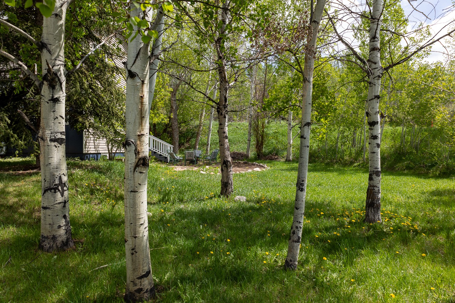 485 Amethyst Drive Steamboat Springs CO 80487