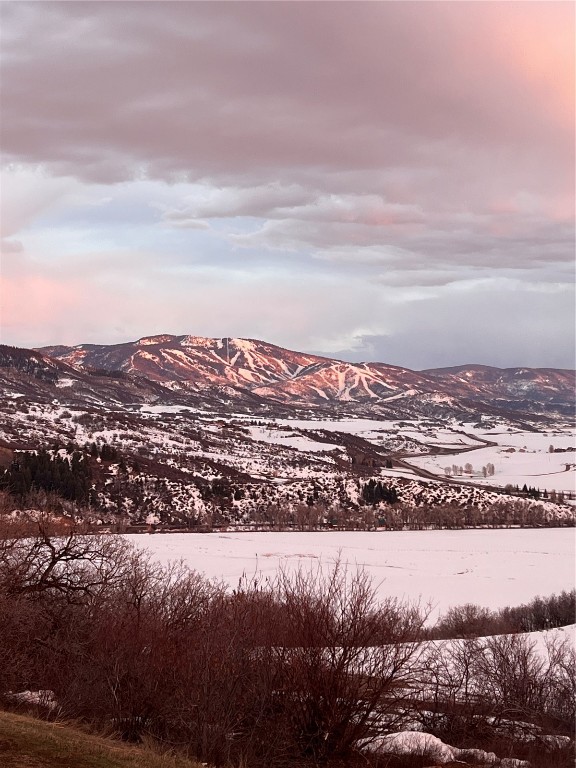 44255 Diamondback Way Steamboat Springs CO 80487