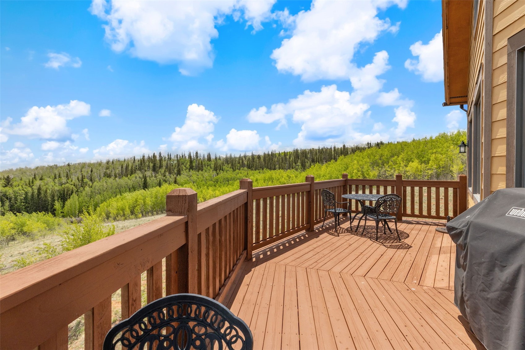 566 Palmer Peak Drive S Fairplay CO 80440