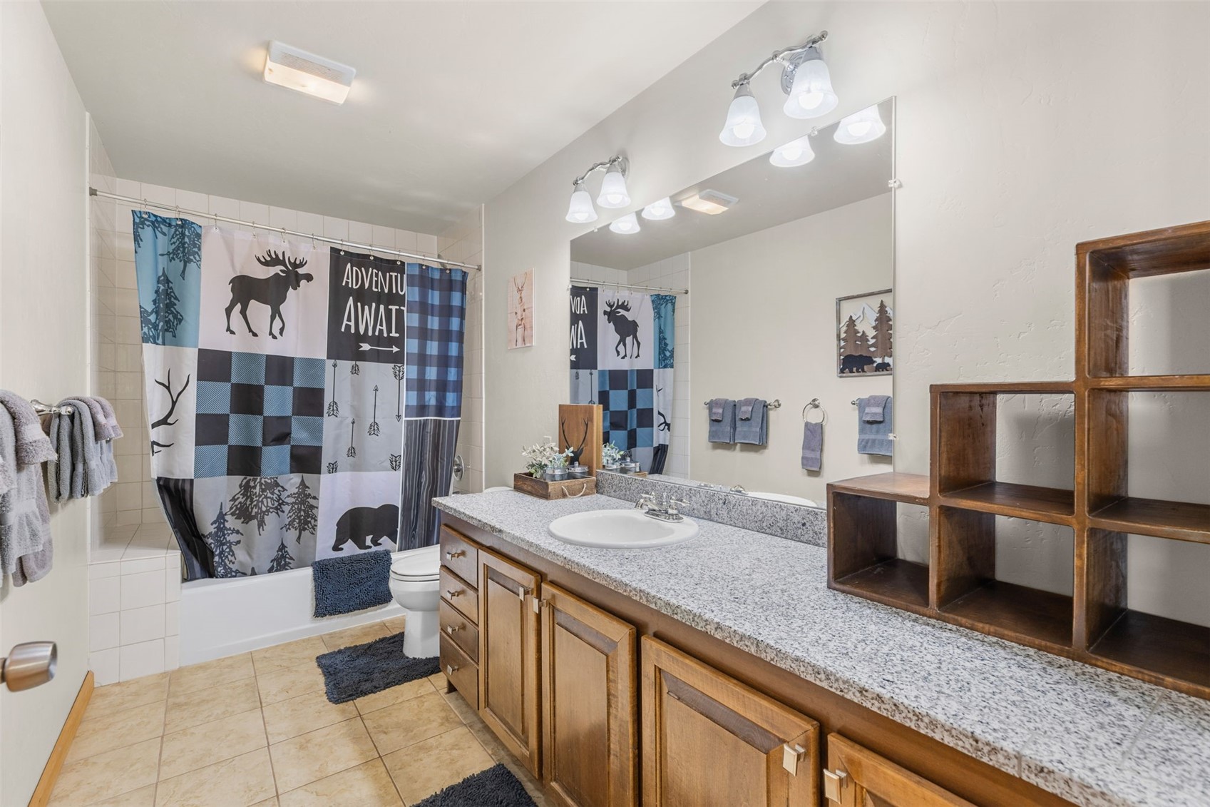 566 Palmer Peak Drive S Fairplay CO 80440