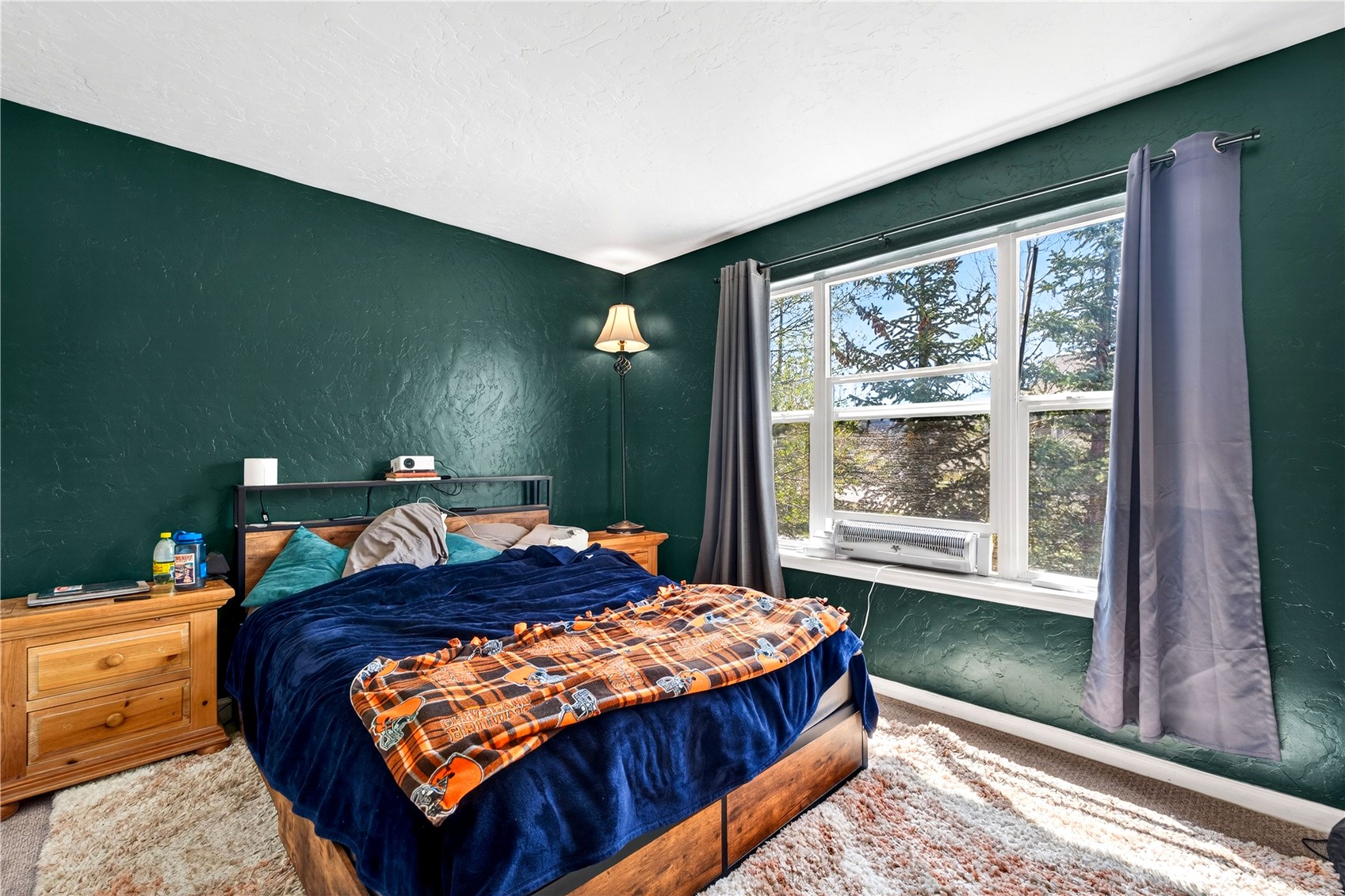33 Audrey Circle Breckenridge CO 80424