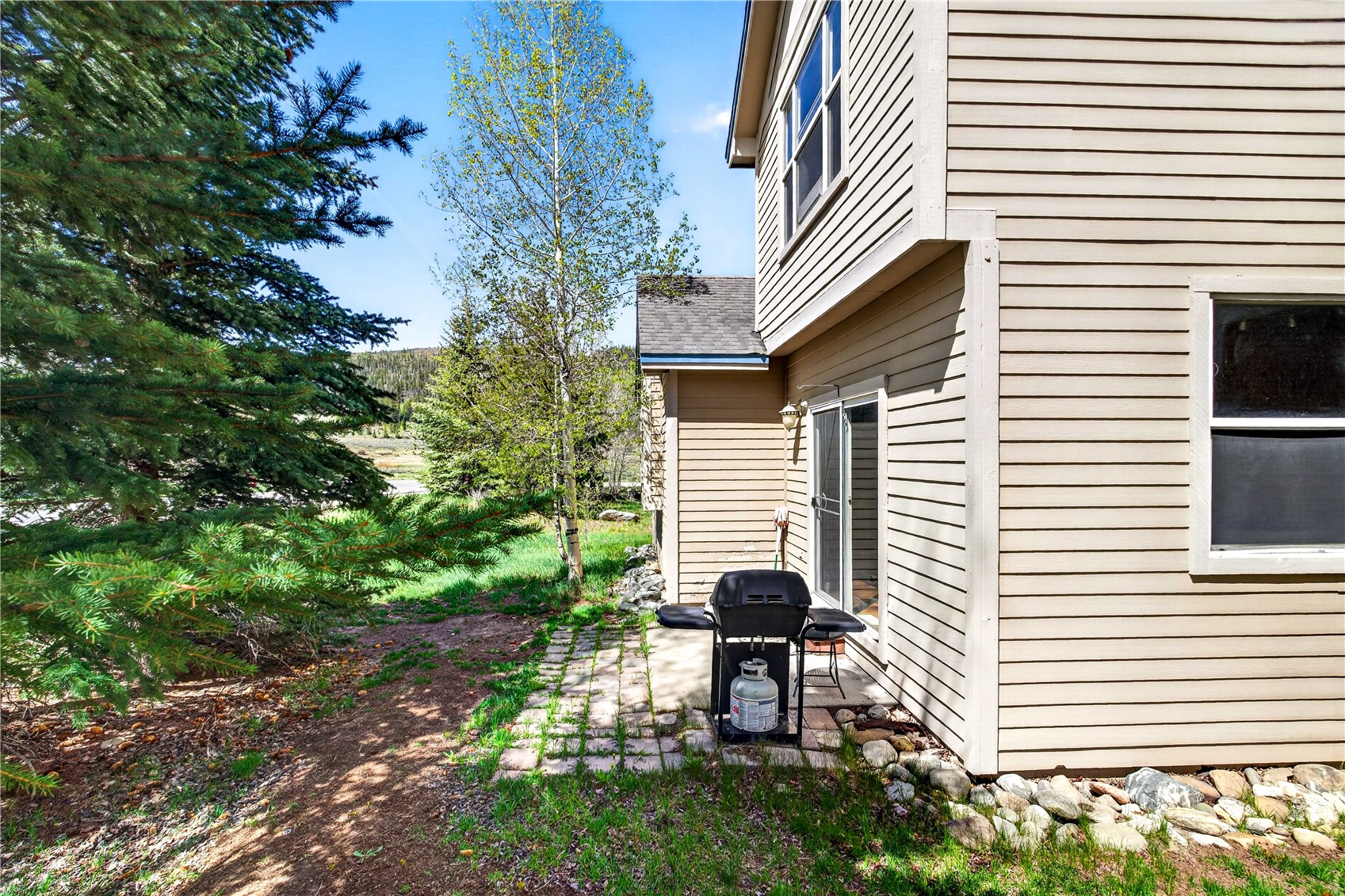 33 Audrey Circle Breckenridge CO 80424