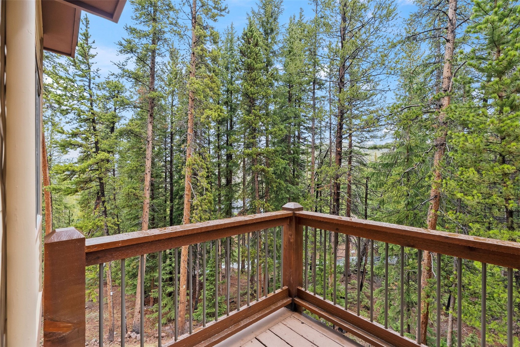 101 County Road 531 Breckenridge CO 80424