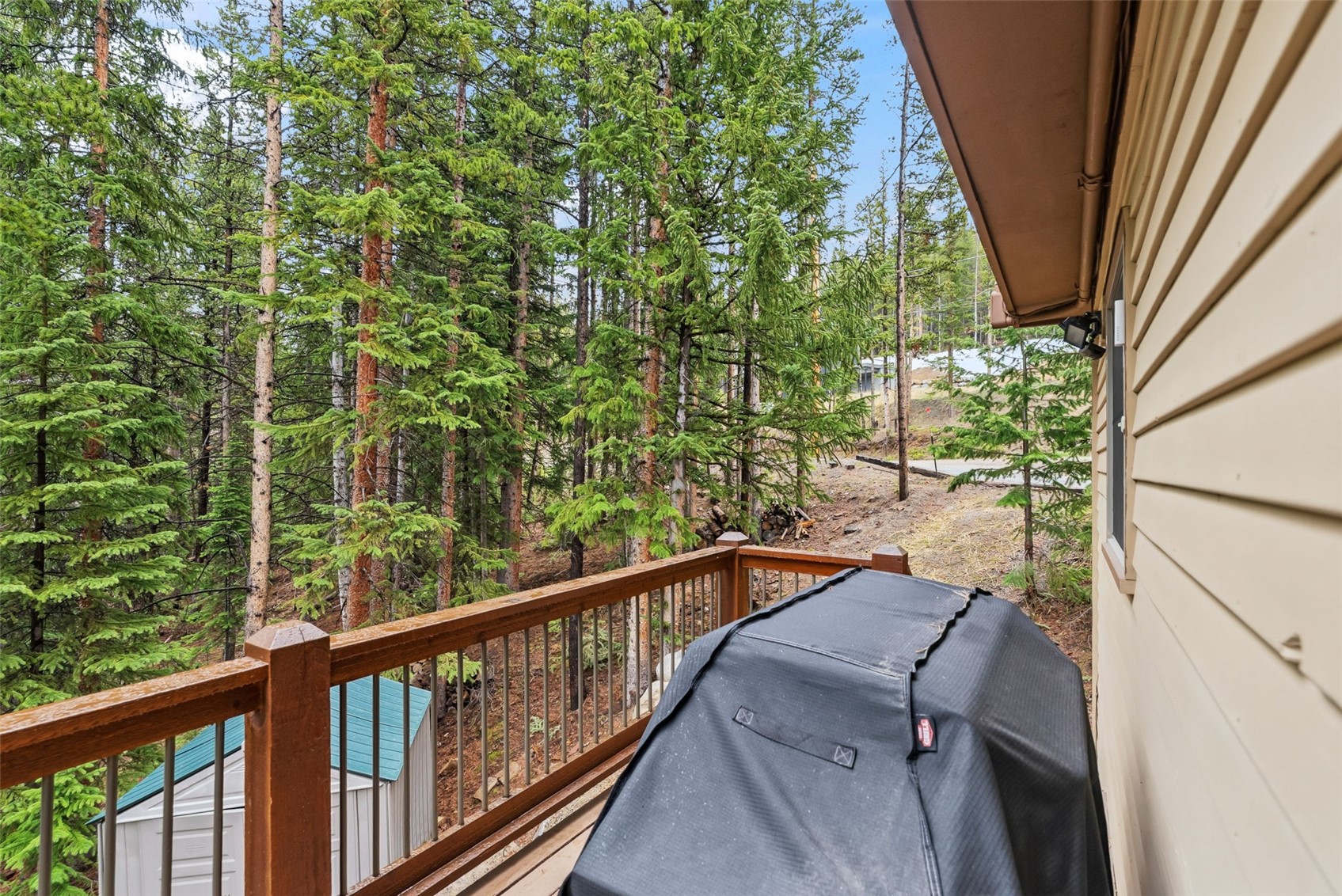101 County Road 531 Breckenridge CO 80424