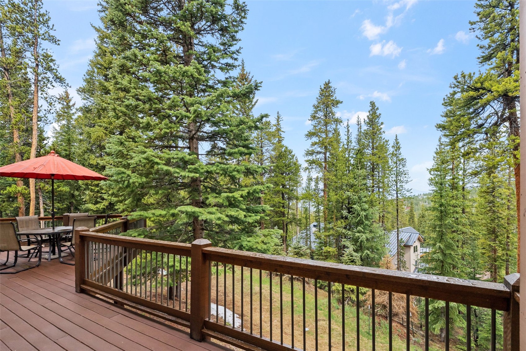 101 County Road 531 Breckenridge CO 80424