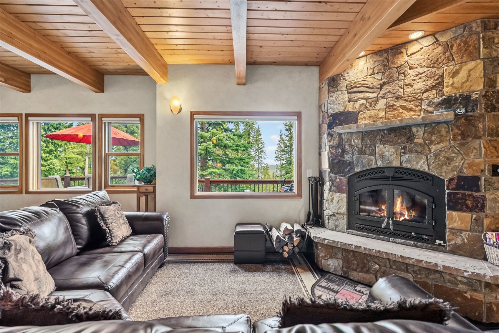 101 County Road 531 Breckenridge CO 80424