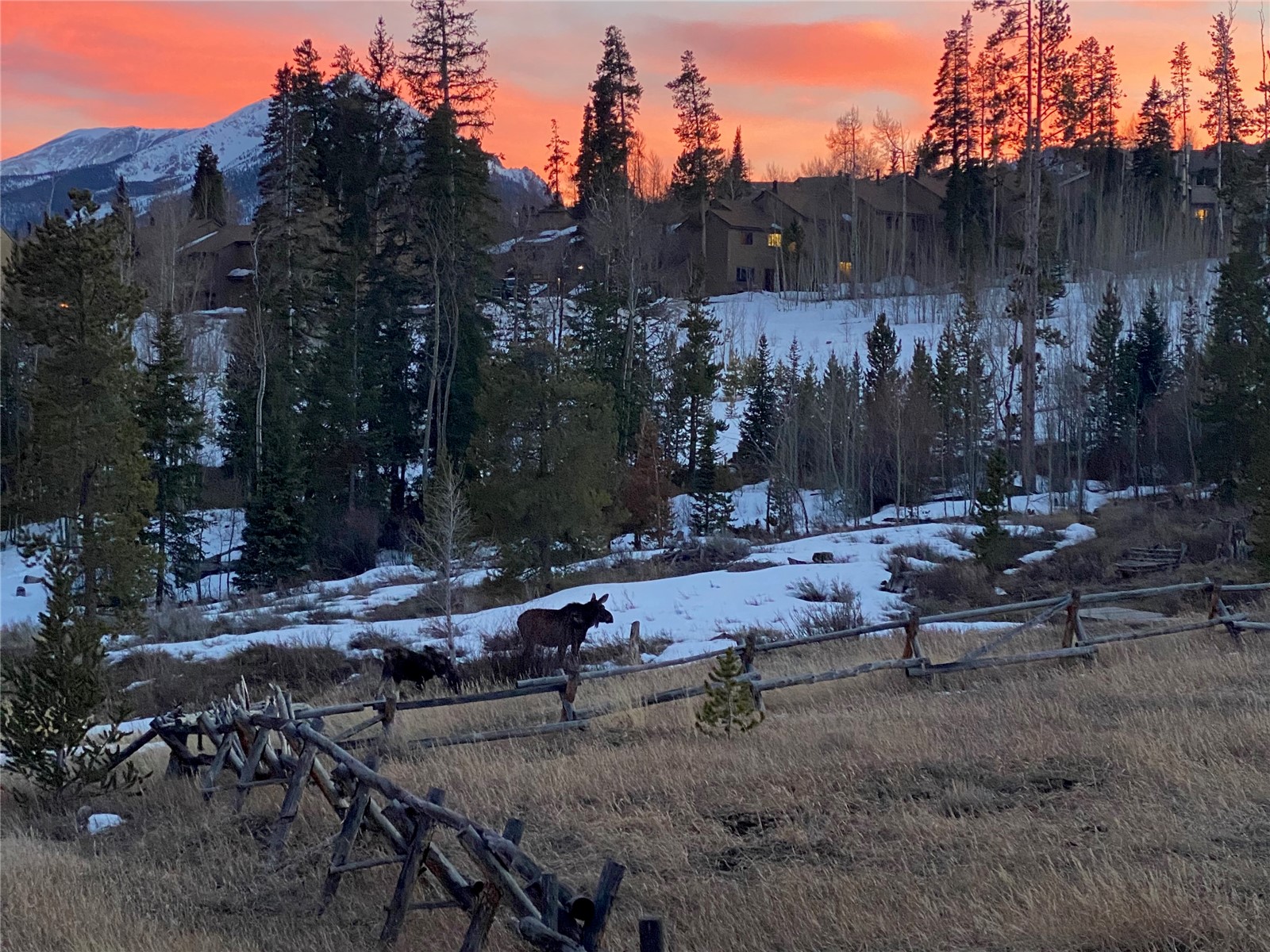 1248 Royal Buffalo Drive Silverthorne CO 80498