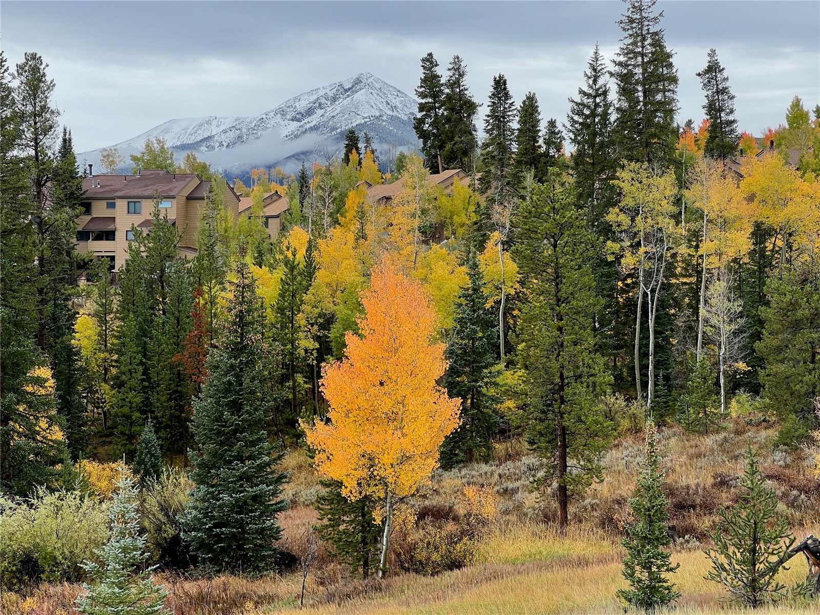 1248 Royal Buffalo Drive Silverthorne CO 80498