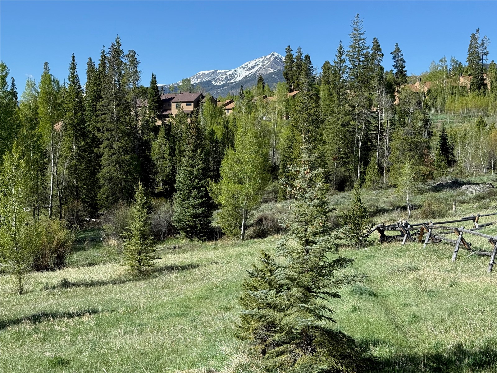 1248 Royal Buffalo Drive Silverthorne CO 80498