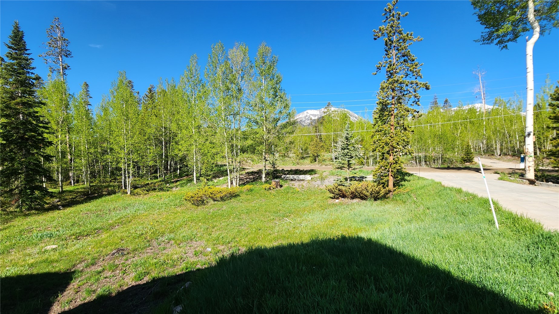 596 Aspen Drive Silverthorne CO 80498