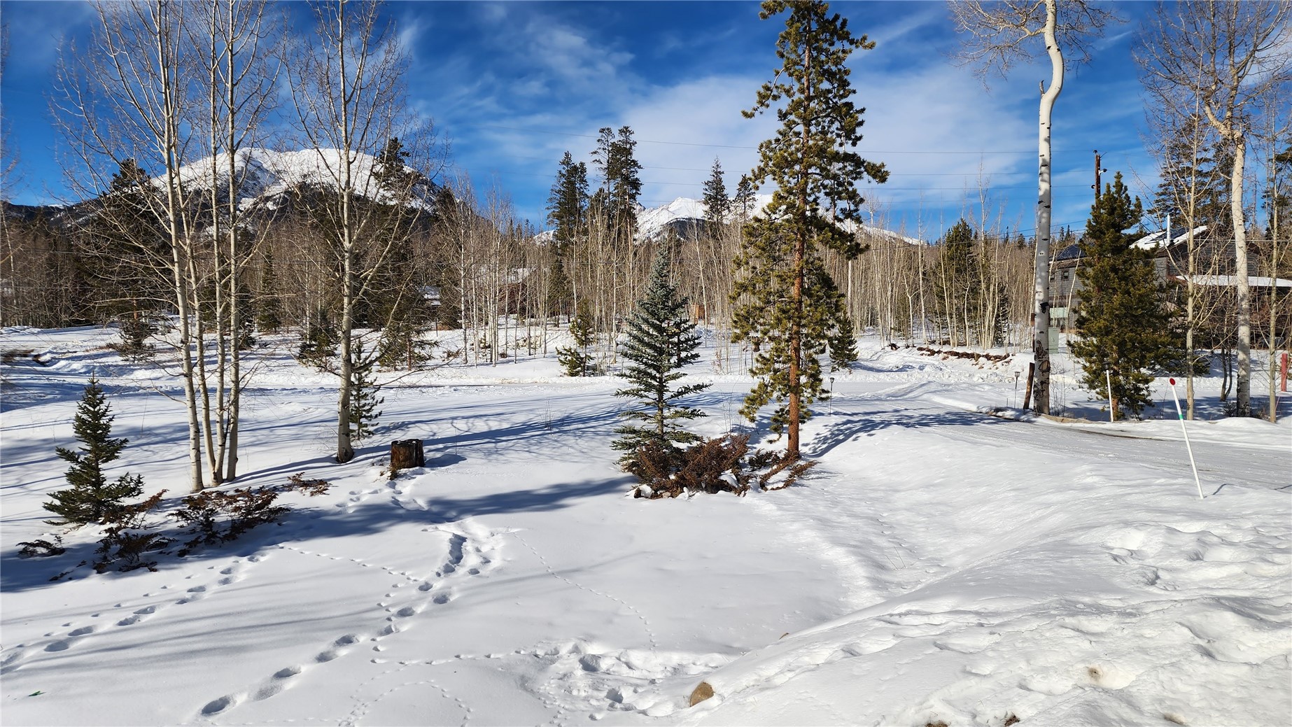 596 Aspen Drive Silverthorne CO 80498