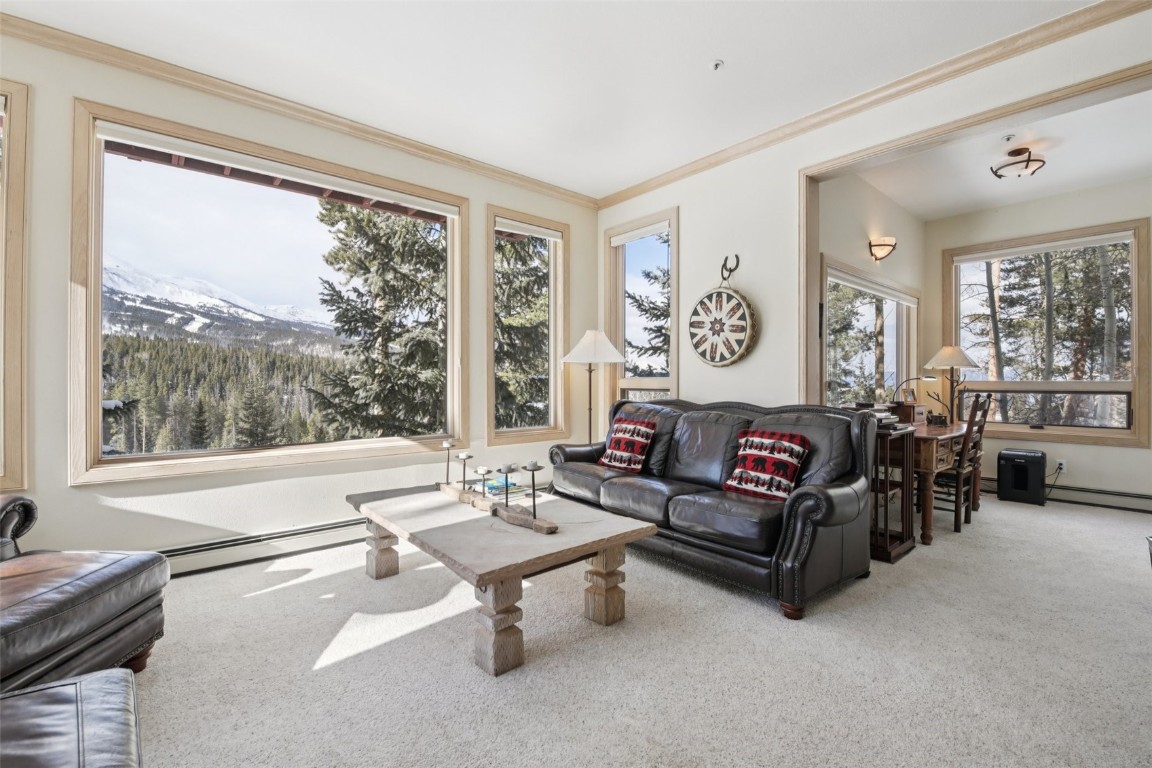 655 White Cloud Drive Breckenridge CO 80424
