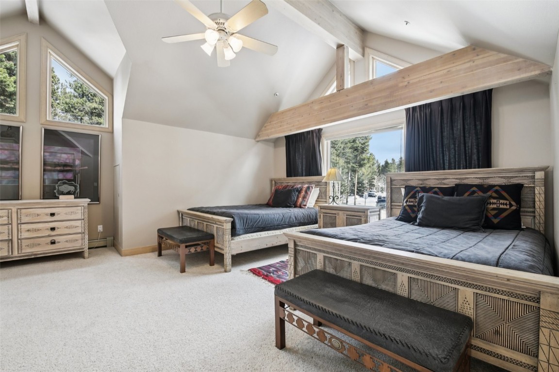 655 White Cloud Drive Breckenridge CO 80424