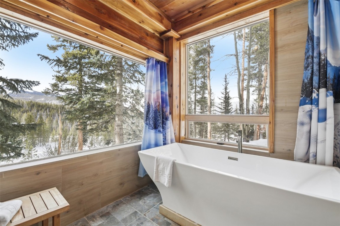 655 White Cloud Drive Breckenridge CO 80424