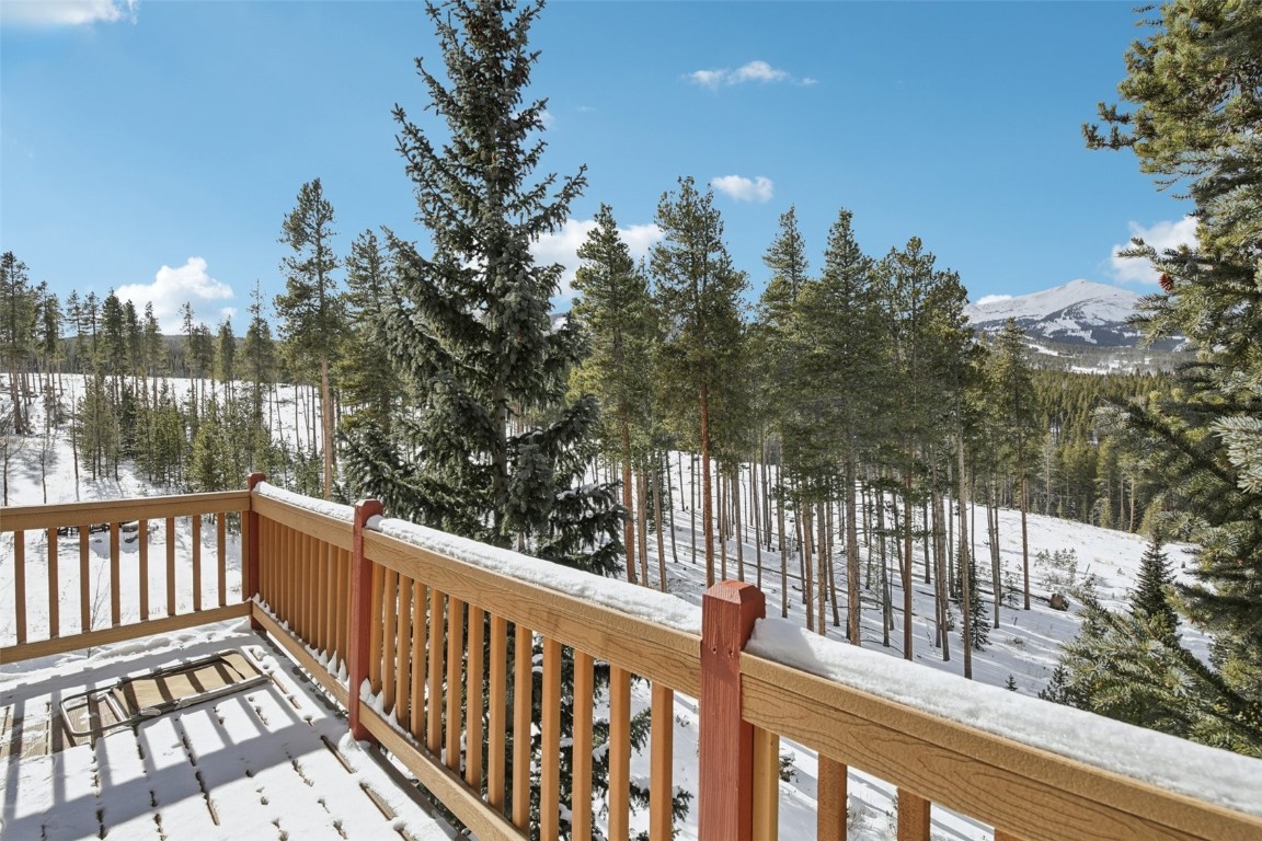 655 White Cloud Drive Breckenridge CO 80424