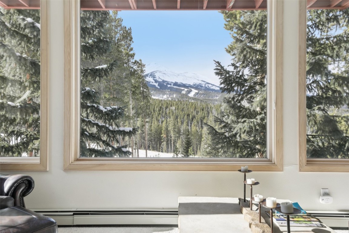655 White Cloud Drive Breckenridge CO 80424
